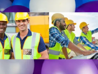 700+Construction Jobs in New Zealand November 2024