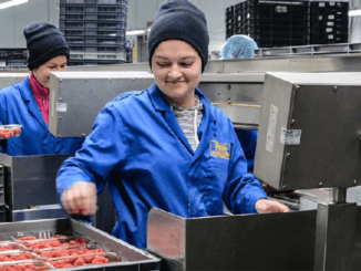 366+Fruit Picker jobs in United Kingdom