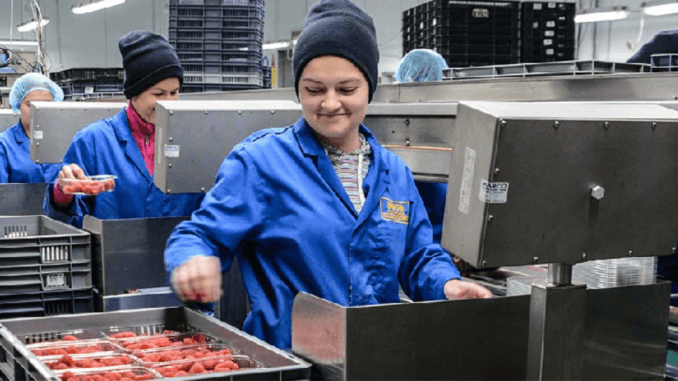 366+Fruit Picker jobs in United Kingdom