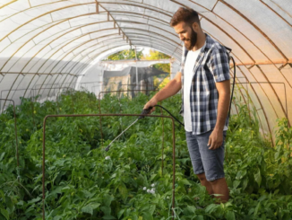 General Farm Worker Jobs in Canada New Vacancies 2025