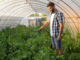 General Farm Worker Jobs in Canada New Vacancies 2025