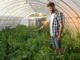 General Farm Worker Jobs in Canada New Vacancies 2025