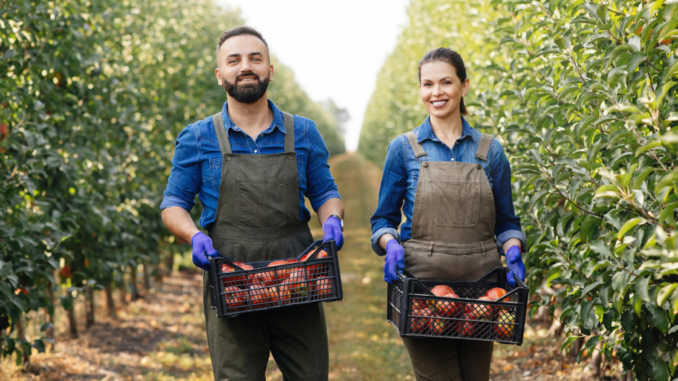 Fruit Picker Jobs in UK with Work Visa 2025