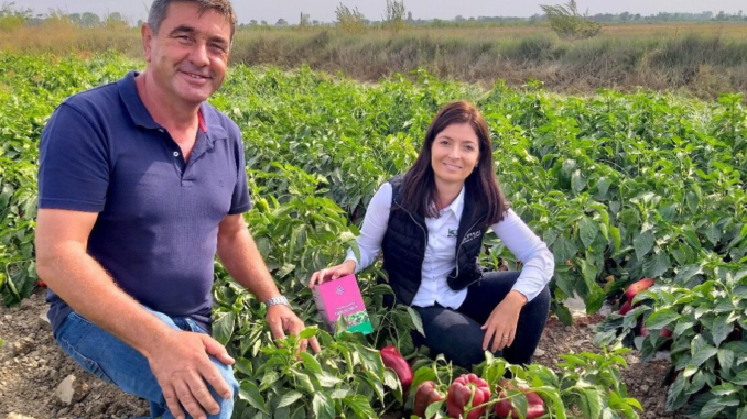 Farm Worker Jobs in Portugal Feb 2025