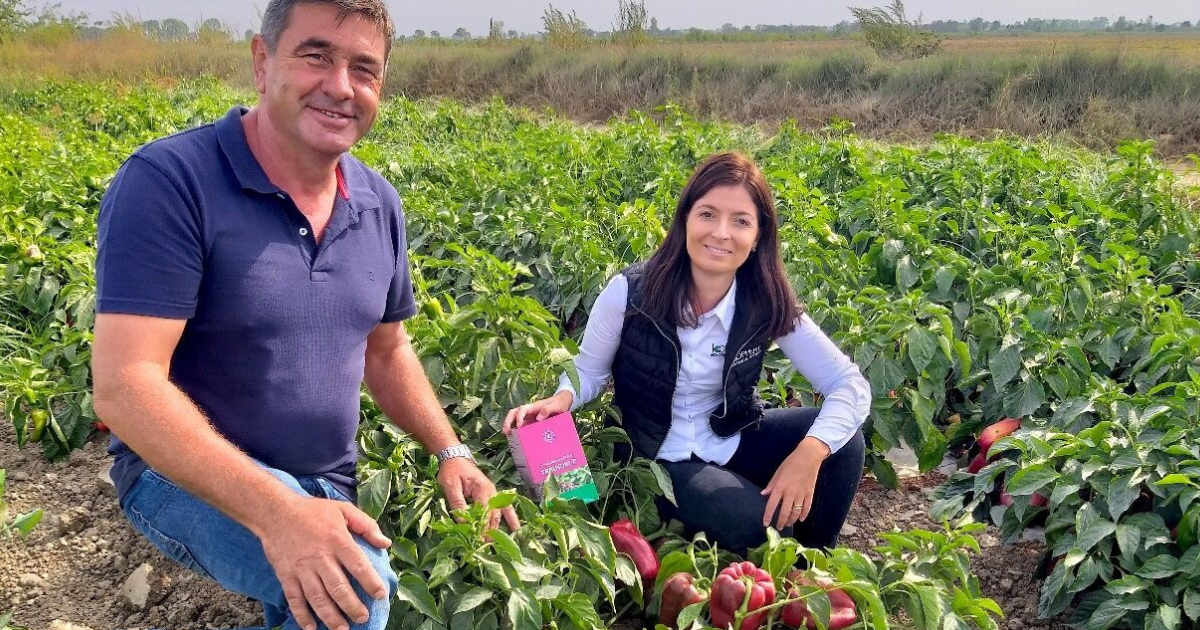 Farm Worker Jobs in Portugal Feb 2025