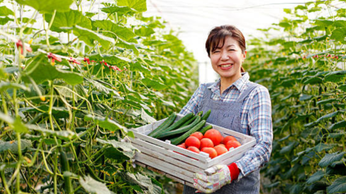 Farm workers Jobs In Japan For Foreigners