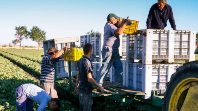 288+agriculture Jobs in Italy March 2025