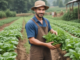 Agriculture Jobs in Luxembourg March 2025