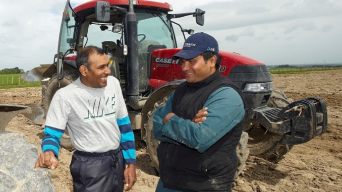 Tractor Driver jobs in New Zealand - 189 vacancies