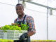 Farm Jobs in Netherlands for Foreigners 2025