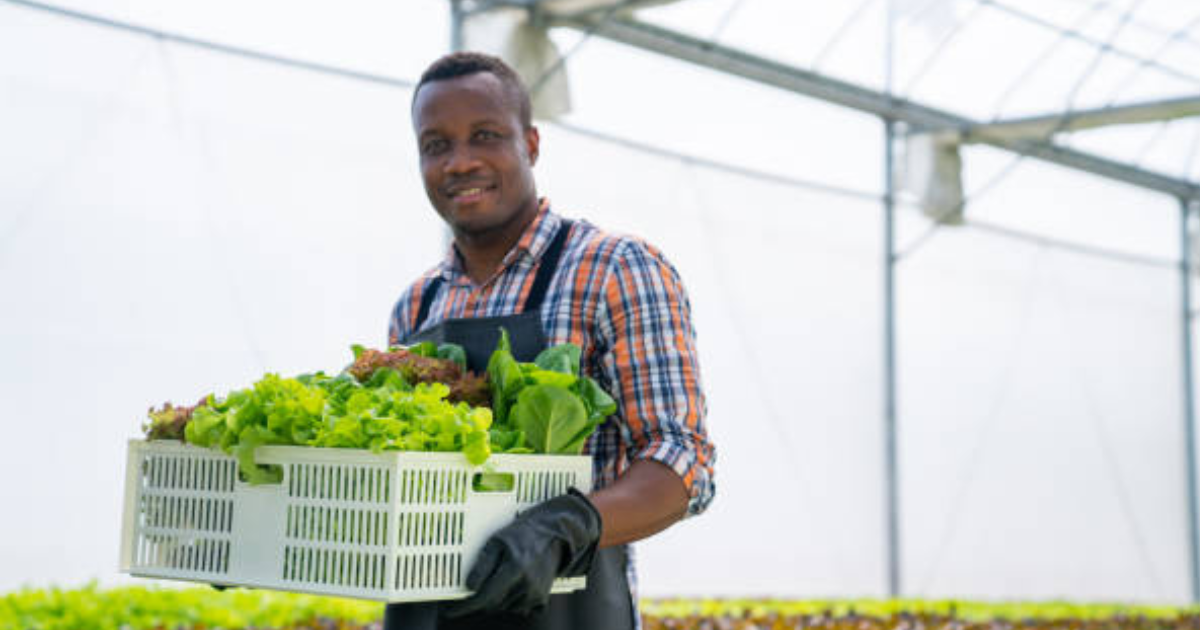 Farm Jobs in Netherlands for Foreigners 2025