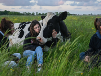 Germany Jobs in Livestock Farming