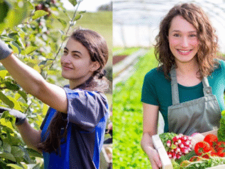 Farm Helper Jobs in Canada 2025