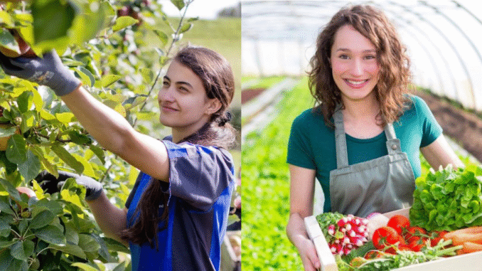 Farm Helper Jobs in Canada 2025