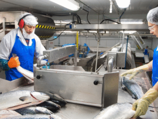 Fish Packing Jobs in Poland April 2025