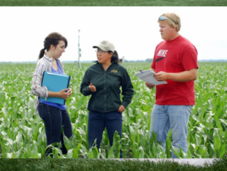 1000+Farm Supervisor jobs in Canada