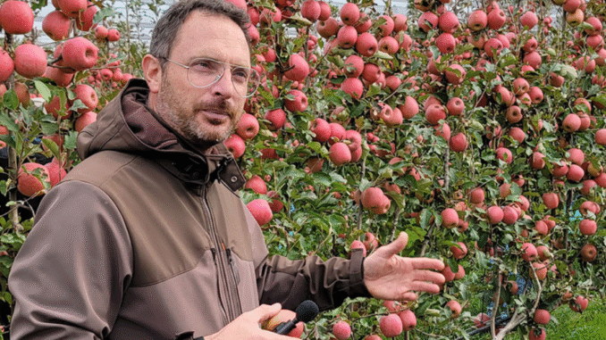 Fruit Picking and Packing Jobs in Italy April 2025