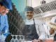 Abu Dhabi National Hotels Careers 2025