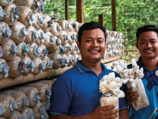 Mushroom Farm Worker 300+Jobs in Luxembourg for Foreigners 2025