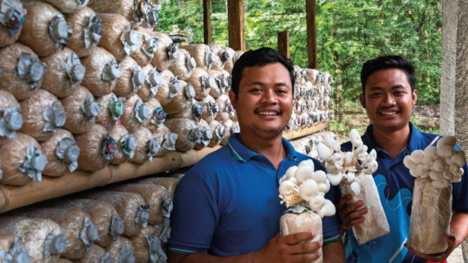 Mushroom Farm Worker 300+Jobs in Luxembourg for Foreigners 2025