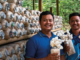 Mushroom Farm Worker 300+Jobs in Luxembourg for Foreigners 2025