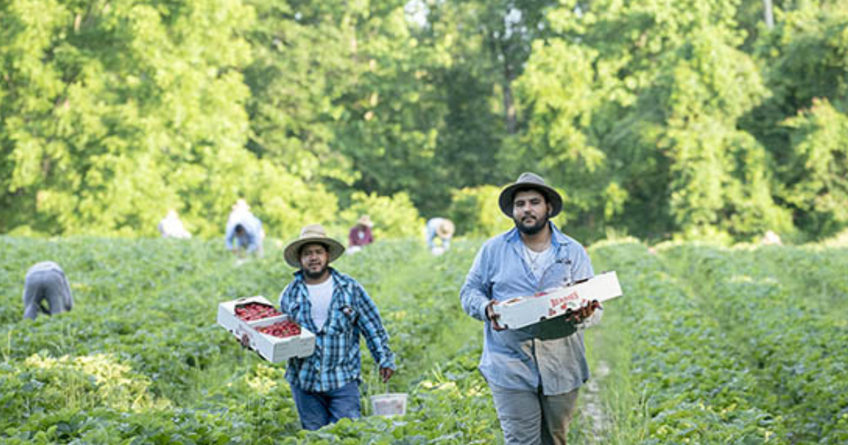 General Farm Worker Livestock in Canada April 2025