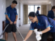 Cleaning 700+Jobs in New Zealand For Foreigners