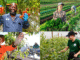 Fruit Farm 150+Jobs in Germany 2025