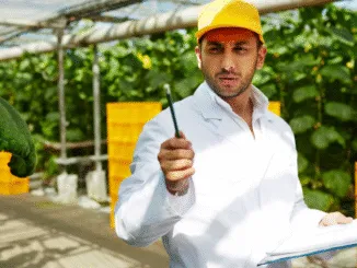 200+Farm Manager Work Opportunities jobs in Canada May 2025
