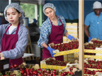 Luxembourg Farming jobs May 2025