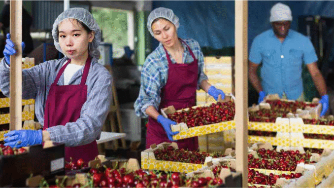 Luxembourg Farming jobs May 2025