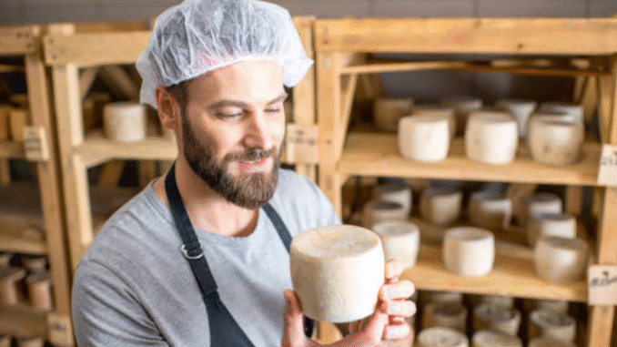 Cheese Factory Jobs in Poland 2025