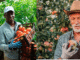 Fruit Picker Jobs in Canada May 2025