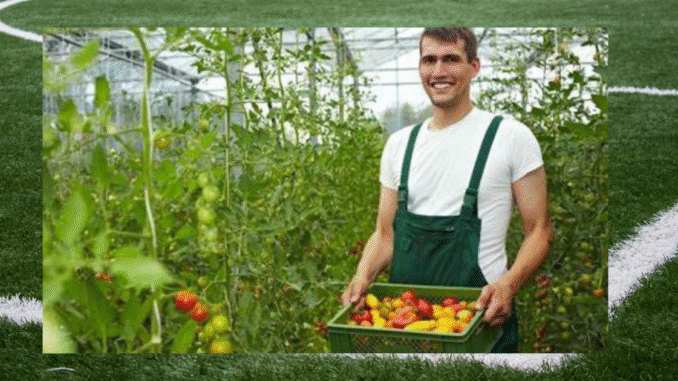 General Farm Worker 400+Jobs in Australia