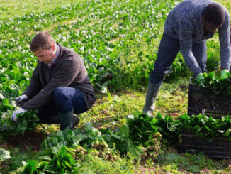 Farm Worker Jobs in Finland May 2025