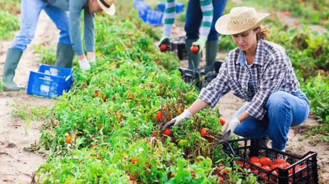 Agriculture Jobs in Germany May 2025