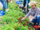 Agriculture Jobs in Germany May 2025
