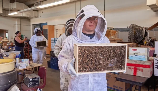 Bee Farm Worker Jobs in Australia
