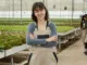 Vegetables Greenhouse Jobs in Norway June 2025
