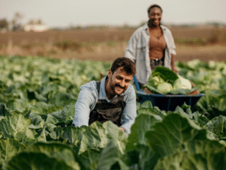 200+Farm Jobs in Switzerland for Foreigners