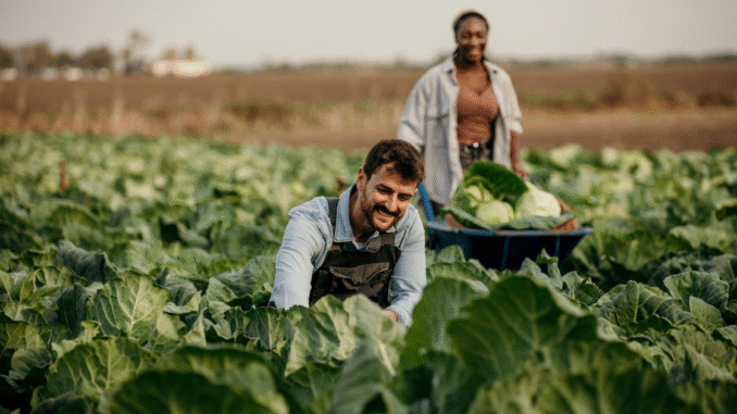 200+Farm Jobs in Switzerland for Foreigners