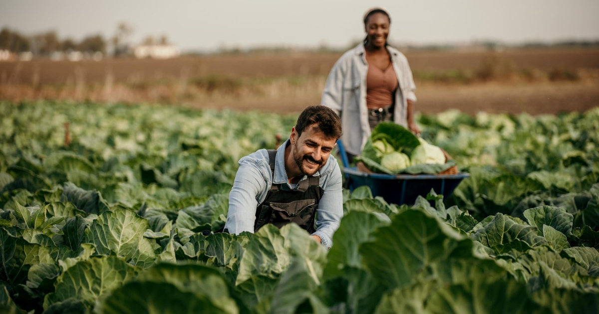 200+Farm Jobs in Switzerland for Foreigners