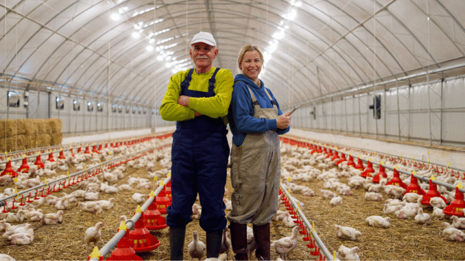 Poultry Farm Jobs in France June 2025