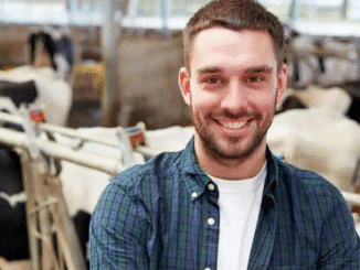 Beef Farm Worker 200+Jobs in Australia 2025