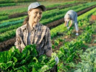 Farm Working100+Jobs in USA June 2025