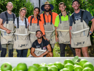 Fruit Farm Workers Jobs in USA June 2025