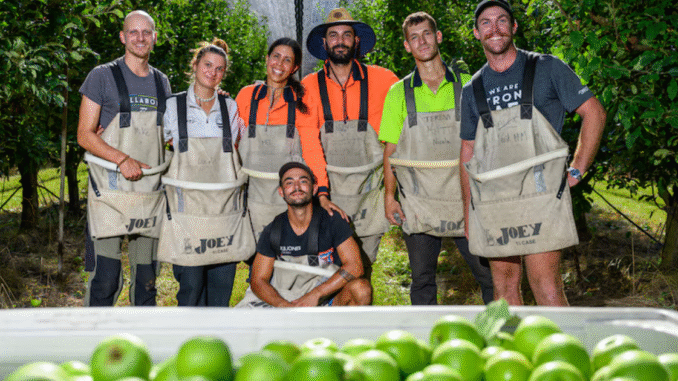 Fruit Farm Workers Jobs in USA June 2025