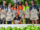 Fruit Farm Workers Jobs in USA June 2025