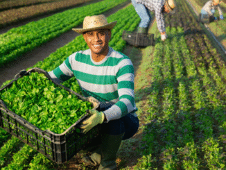 Farm Jobs in Netherlands for Foreigners June 2025