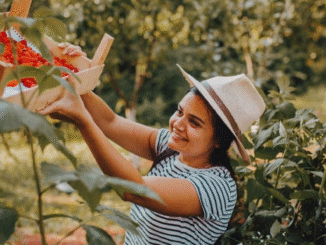 Croatia Fruit Picker Jobs for Foreigners 2025
